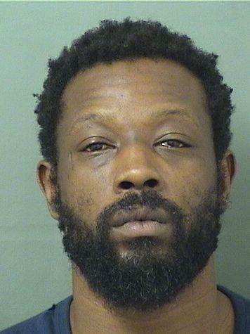  DAVID M ROBINSON Results from Palm Beach County Florida for  DAVID M ROBINSON