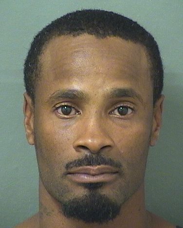  JAMES LARON WILLIAMS Results from Palm Beach County Florida for  JAMES LARON WILLIAMS