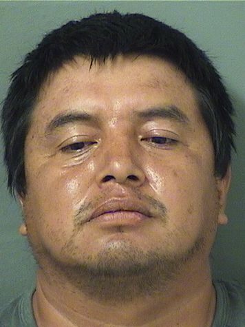  JUAN ANDRES SANTIAGO Results from Palm Beach County Florida for  JUAN ANDRES SANTIAGO