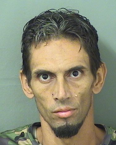  GABRIEL GONZALEZLUCIANO Results from Palm Beach County Florida for  GABRIEL GONZALEZLUCIANO