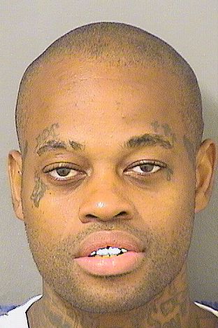  DAVID O CAREW Results from Palm Beach County Florida for  DAVID O CAREW