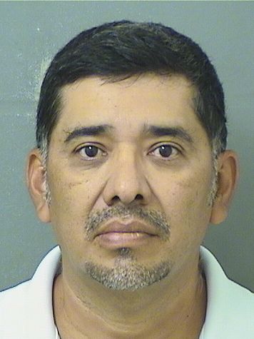  ALFREDO MORALES Results from Palm Beach County Florida for  ALFREDO MORALES