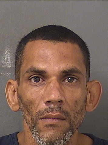  THOMAS LAWRENCE SURINACH Results from Palm Beach County Florida for  THOMAS LAWRENCE SURINACH