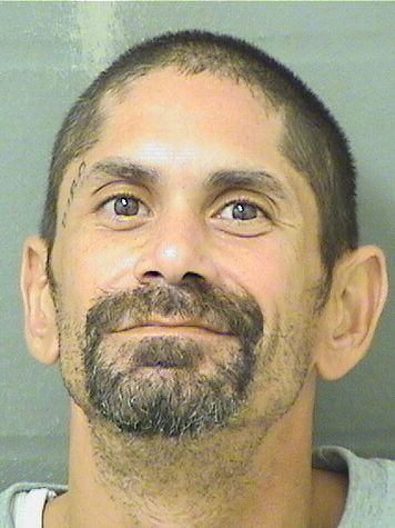  ISHMAEL J RIOS Results from Palm Beach County Florida for  ISHMAEL J RIOS