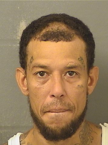 CARLOS ORTIZ Results from Palm Beach County Florida for CARLOS ORTIZ CARLOS ORTIZ Results from Palm Beach County Florida for CARLOS ORTIZ