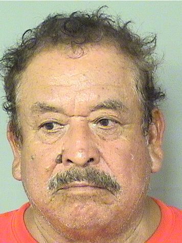  BERULO TORRES Results from Palm Beach County Florida for  BERULO TORRES