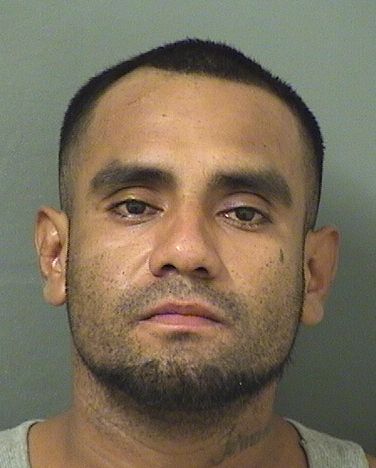  FERNANDO GONZALEZ Results from Palm Beach County Florida for  FERNANDO GONZALEZ