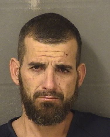  DANIEL PATRICK MCGILL Results from Palm Beach County Florida for  DANIEL PATRICK MCGILL