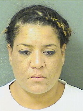  VANESSA L DELGADO Results from Palm Beach County Florida for  VANESSA L DELGADO