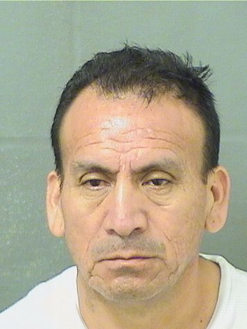  JOSE TZULXUNCAX Results from Palm Beach County Florida for  JOSE TZULXUNCAX