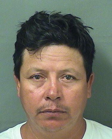  CESAR HERRERA Resultados de la busqueda para Palm Beach County Florida para  CESAR HERRERA