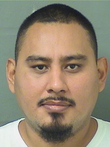 JOSE FABIAN CARDENAS resultados de la busqueda para Palm Beach County Florida para JOSE FABIAN CARDENAS JOSE FABIAN CARDENAS Resultados de la busqueda para Palm Beach County Florida para JOSE FABIAN CARDENAS
