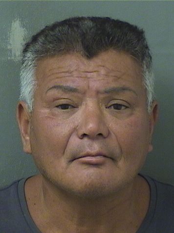  JESUS JAVIER GALLOSO Results from Palm Beach County Florida for  JESUS JAVIER GALLOSO