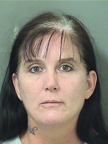  LISA JANETTE JOHNSON Results from Palm Beach County Florida for  LISA JANETTE JOHNSON