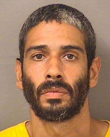  MARCUS J BAEZ Results from Palm Beach County Florida for  MARCUS J BAEZ