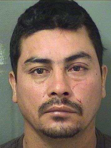 JOSE SAID SOTONUNEZ Results from Palm Beach County Florida for JOSE SAID SOTONUNEZ JOSE SAID SOTONUNEZ Results from Palm Beach County Florida for JOSE SAID SOTONUNEZ