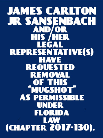  JAMES CARLTON Jr SANSENBACH Results from Palm Beach County Florida for  JAMES CARLTON Jr SANSENBACH