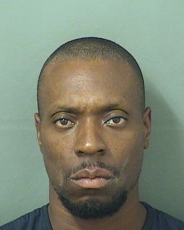  GREGORY LAMAR II DAVIS Results from Palm Beach County Florida for  GREGORY LAMAR II DAVIS