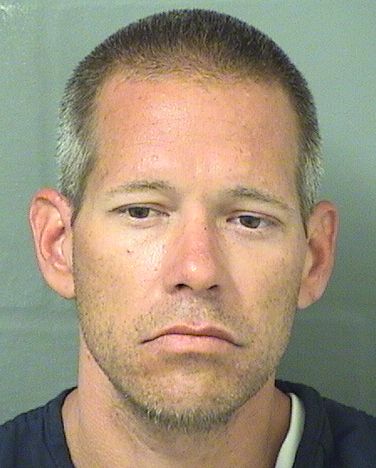  DAVID MICHAEL KING Results from Palm Beach County Florida for  DAVID MICHAEL KING