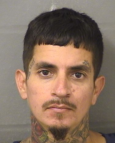  JOSEPH CANTU Resultados de la busqueda para Palm Beach County Florida para  JOSEPH CANTU