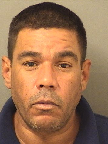  REINALDO PALMERO Results from Palm Beach County Florida for  REINALDO PALMERO