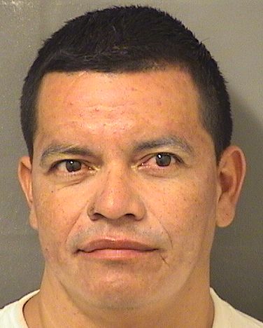  MEDARDO A IBARRA Resultados de la busqueda para Palm Beach County Florida para  MEDARDO A IBARRA