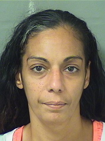  NESRIN MOHAMAD MBAIED Results from Palm Beach County Florida for  NESRIN MOHAMAD MBAIED