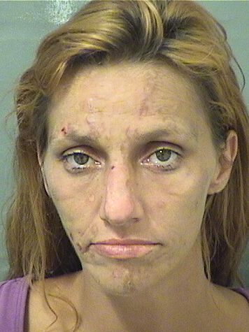  CHRISTINA M CHIESA Results from Palm Beach County Florida for  CHRISTINA M CHIESA