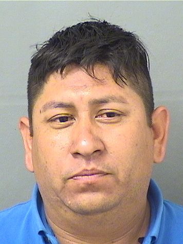 AGUSTIN MARQUEZMORQUECHO Results from Palm Beach County Florida for AGUSTIN MARQUEZMORQUECHO AGUSTIN MARQUEZMORQUECHO Results from Palm Beach County Florida for AGUSTIN MARQUEZMORQUECHO