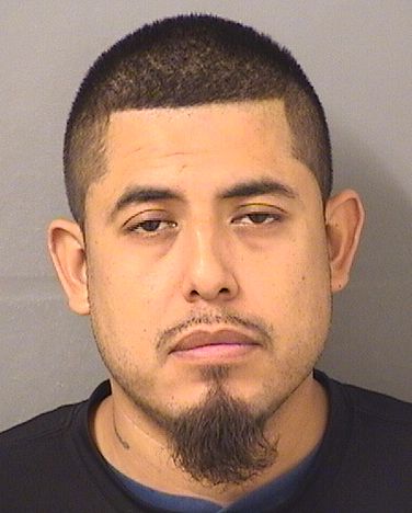  DANIEL RODRIGUEZ Results from Palm Beach County Florida for  DANIEL RODRIGUEZ