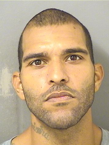  ZACHARY SETH PRINCE Resultados de la busqueda para Palm Beach County Florida para  ZACHARY SETH PRINCE