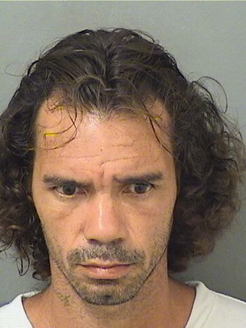  JONATHAN IRIZARRY SPULVEDA Results from Palm Beach County Florida for  JONATHAN IRIZARRY SPULVEDA