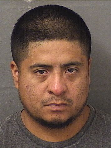  FERNANDO ORDUNA Results from Palm Beach County Florida for  FERNANDO ORDUNA