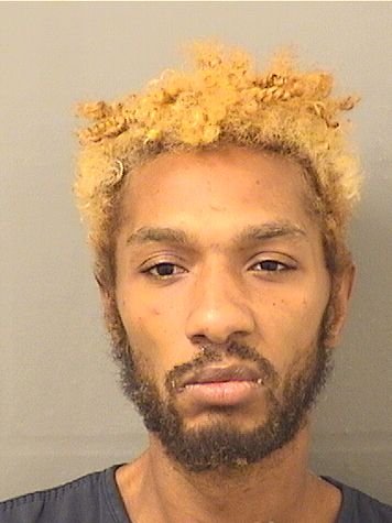  AMON T MCLAWRENCE Results from Palm Beach County Florida for  AMON T MCLAWRENCE