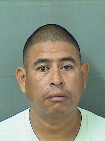  JORGE VELASQUEZPEREZ Resultados de la busqueda para Palm Beach County Florida para  JORGE VELASQUEZPEREZ