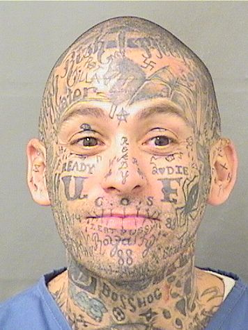 KEVIN ALICEA Photos For  KEVIN ALICEA  KEVIN ALICEA Photo For  KEVIN ALICEA