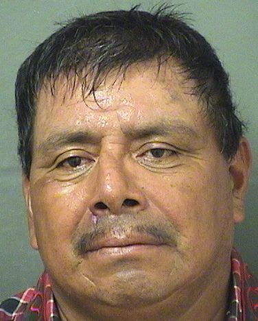  JOSE ESTRADA Results from Palm Beach County Florida for  JOSE ESTRADA