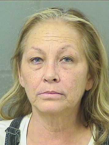  NATASHA MONICA GURFINKIEL Results from Palm Beach County Florida for  NATASHA MONICA GURFINKIEL