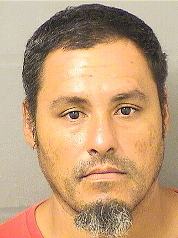  GILBERTO MENDEZ Resultados de la busqueda para Palm Beach County Florida para  GILBERTO MENDEZ