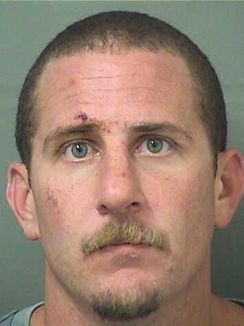  NICHOLAS TODD OBERMEYER Results from Palm Beach County Florida for  NICHOLAS TODD OBERMEYER