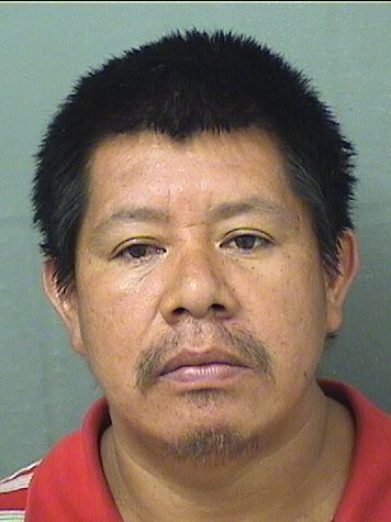  AURELIO FRANCISCO PASCUAL Results from Palm Beach County Florida for  AURELIO FRANCISCO PASCUAL