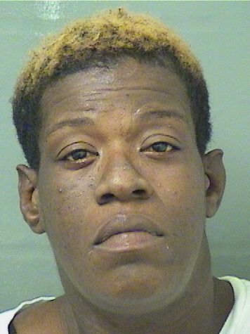  MATIA COCO DINGLE Photo For  MATIA COCO DINGLE