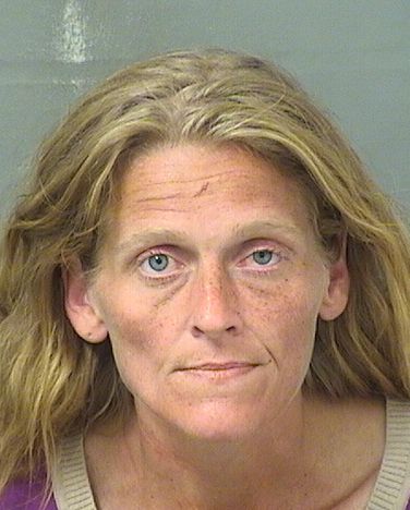  BRITTANI KEISHA LEE DAWN DAVIS Results from Palm Beach County Florida for  BRITTANI KEISHA LEE DAWN DAVIS