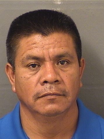  MANUEL PASCUAL Resultados de la busqueda para Palm Beach County Florida para  MANUEL PASCUAL