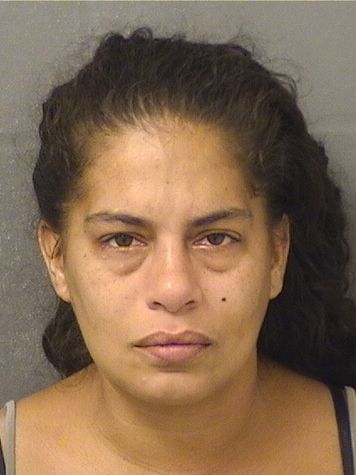  MELANIE INEZ SANTIAGO Results from Palm Beach County Florida for  MELANIE INEZ SANTIAGO