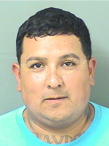  JESUS MANUEL LOPEZ Results from Palm Beach County Florida for  JESUS MANUEL LOPEZ