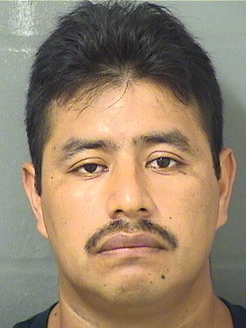  RUBEN NATHANAEL BAMACABARRENO Resultados de la busqueda para Palm Beach County Florida para  RUBEN NATHANAEL BAMACABARRENO