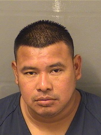  DOUGLAS A MEJIA Results from Palm Beach County Florida for  DOUGLAS A MEJIA