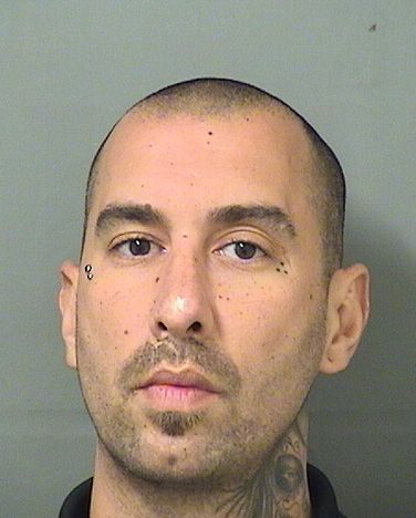  JOSEPH P DALY Results from Palm Beach County Florida for  JOSEPH P DALY