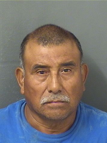  GUADALUPE MARTINEZDELEON Resultados de la busqueda para Palm Beach County Florida para  GUADALUPE MARTINEZDELEON